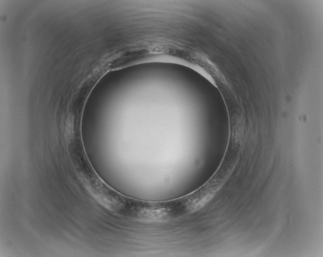 X0000085080213200703051442