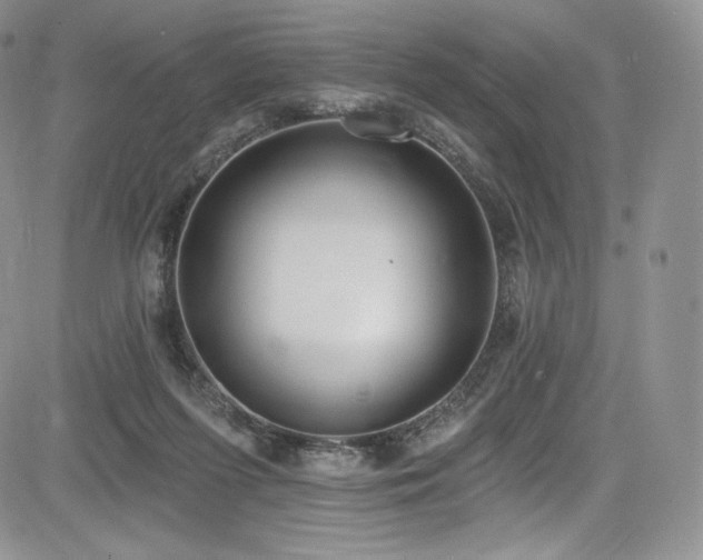 X0000085080215200703051442