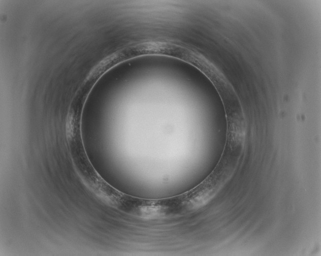 X0000085080216200703051442