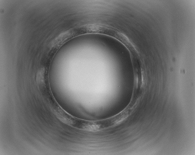 X0000085080217200703051442