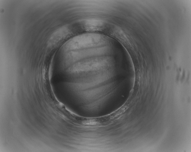 X0000085080219200703051442