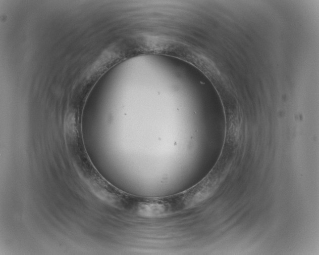 X0000085080220200703051442