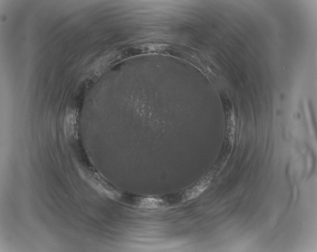 X0000085080222200703051442