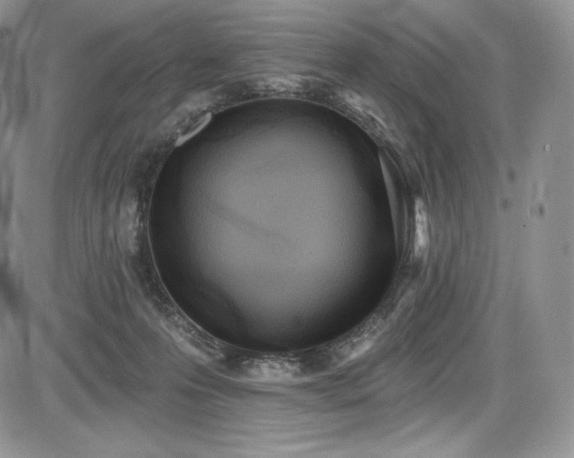 X0000085080223200703051442