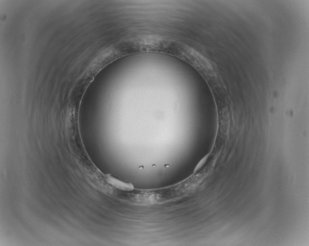 X0000085080225200703051442