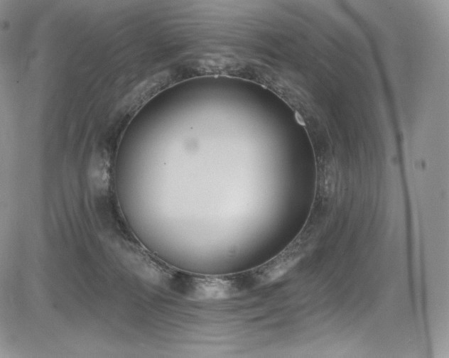 X0000085080226200703051442