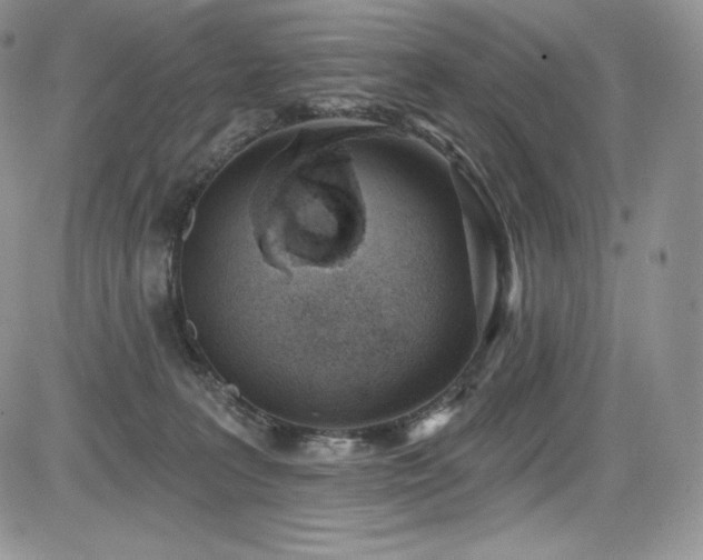 X0000085080227200703051442