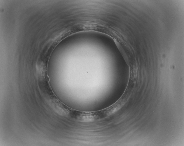 X0000085080228200703051442