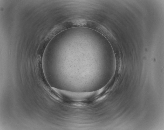 X0000085080229200703051442