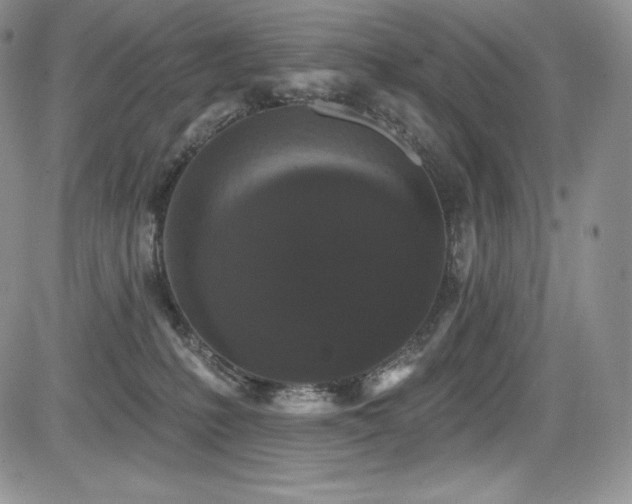 X0000085080231200703051442