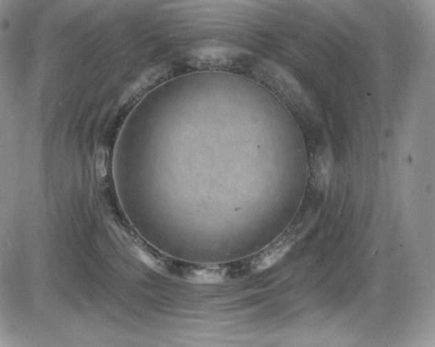 X0000085080232200703051442