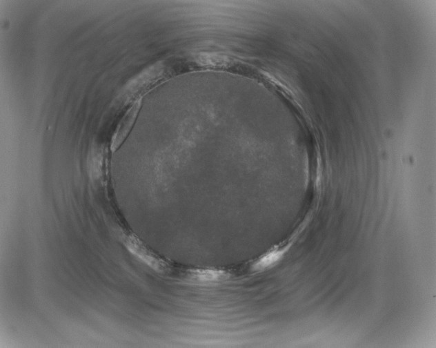 X0000085080233200703051441