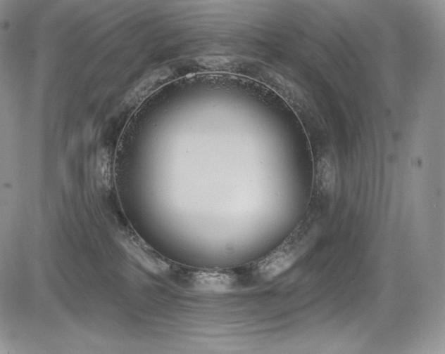 X0000085080234200703051441