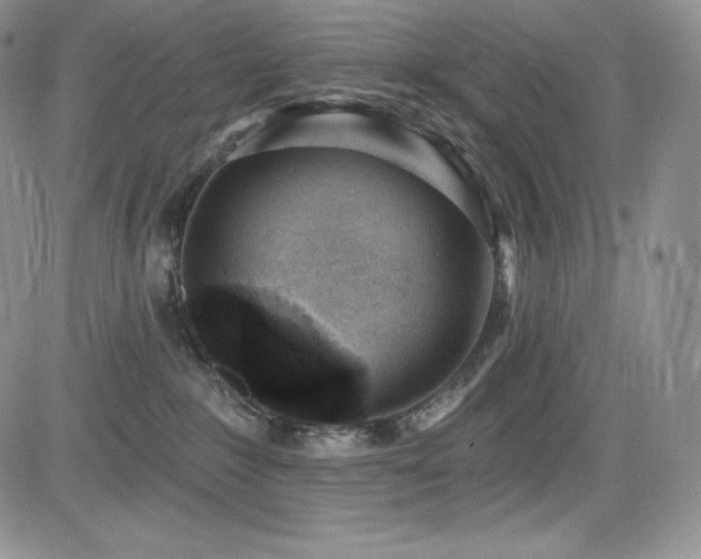 X0000085080235200703051441