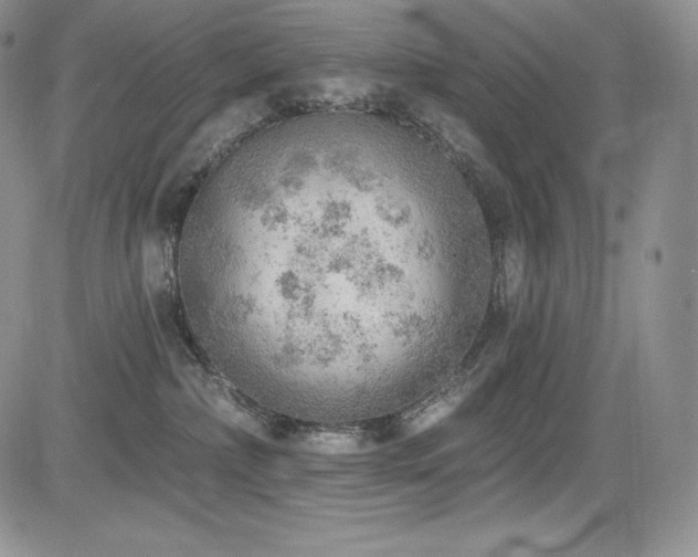 X0000085080236200703051441