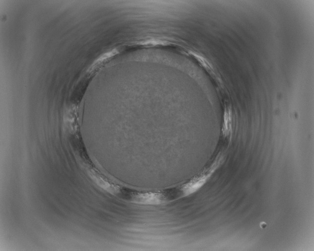 X0000085080237200703051441