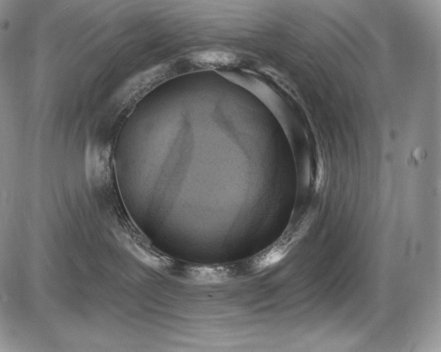 X0000085080239200703051441