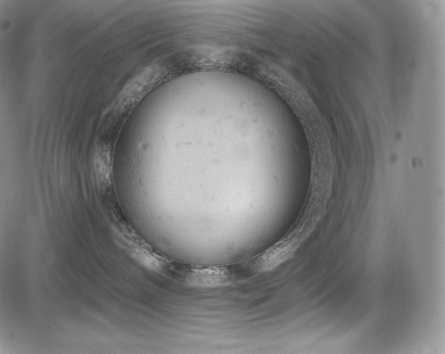 X0000085080240200703051441