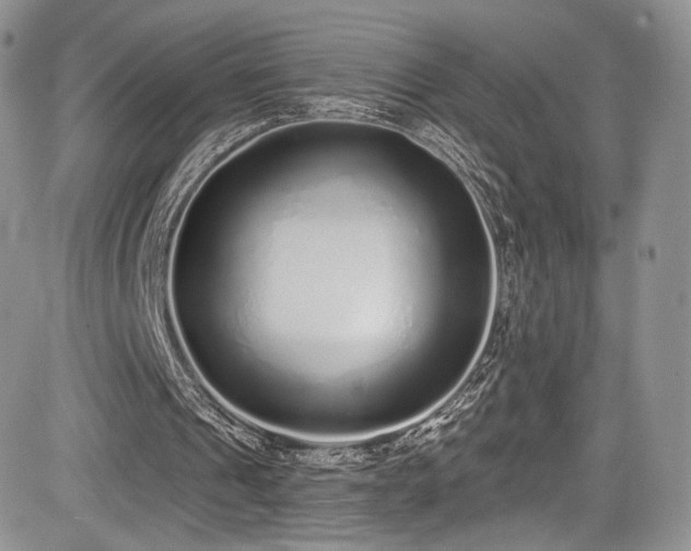 X0000085080241200703051441