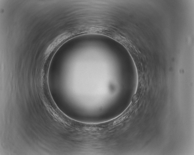 X0000085080242200703051441