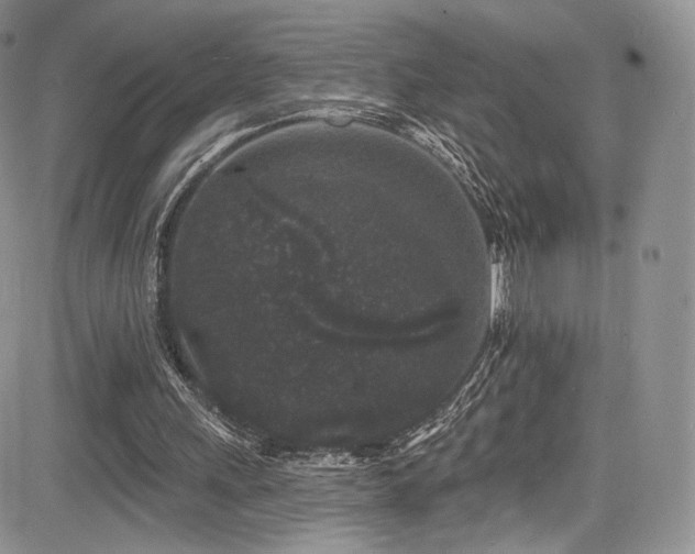 X0000085080243200703051441