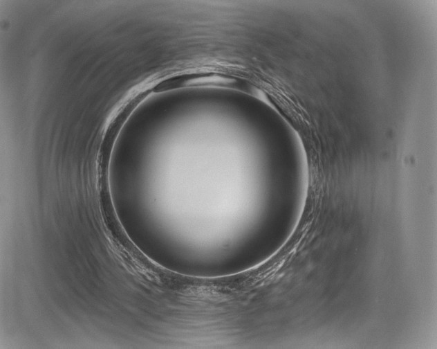 X0000085080244200703051441