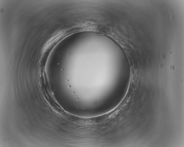 X0000085080245200703051441