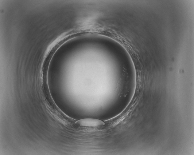 X0000085080246200703051441