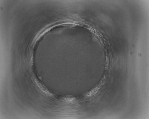 X0000085080247200703051441