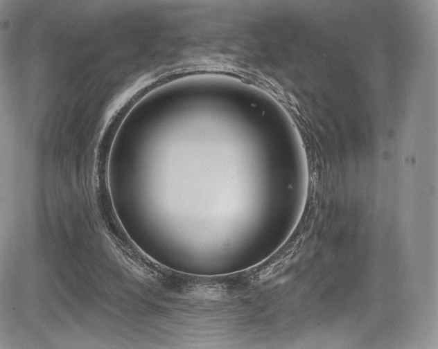 X0000085080248200703051441