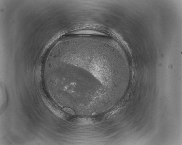 X0000085080250200703051441