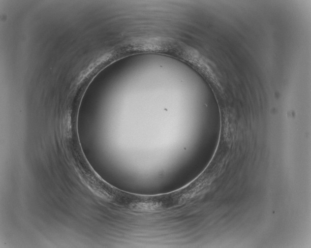 X0000085080251200703051441