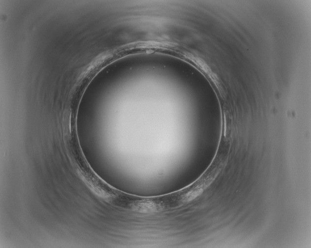 X0000085080253200703051441