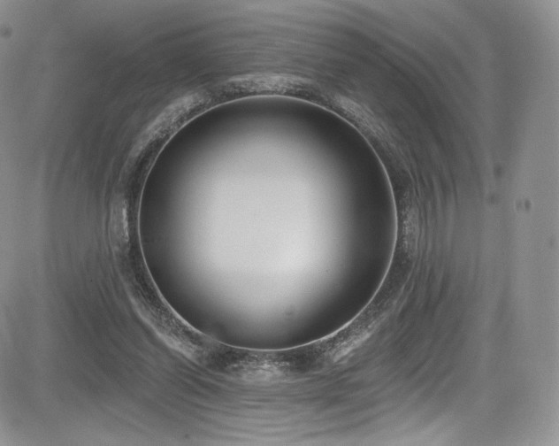 X0000085080254200703051441