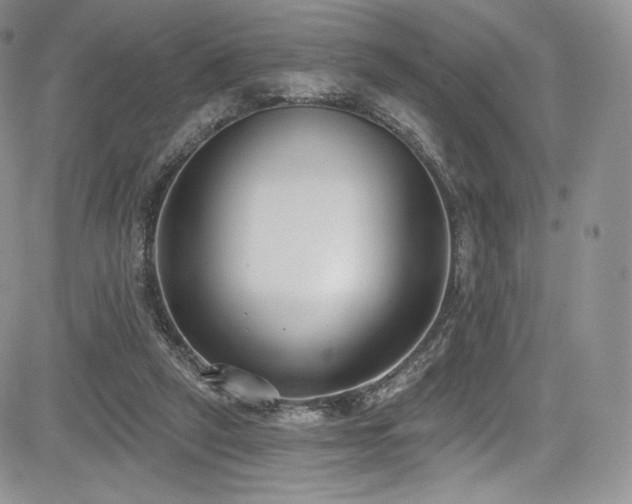 X0000085080257200703051441