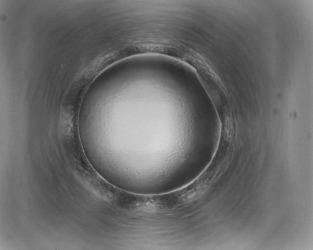 X0000085080259200703051441