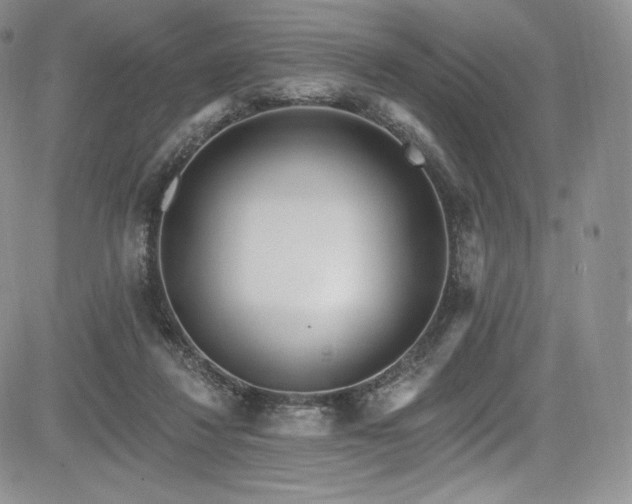 X0000085080260200703051441