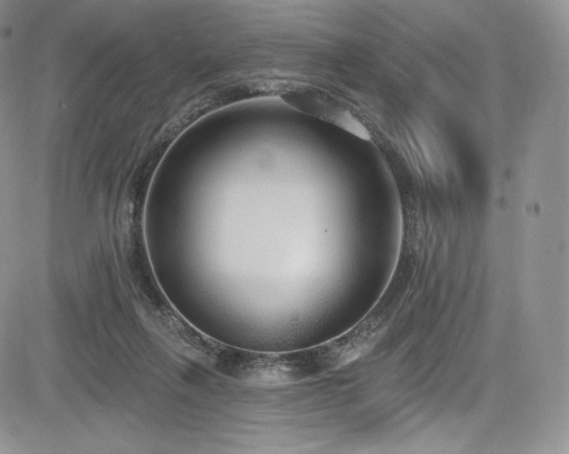 X0000085080263200703051441