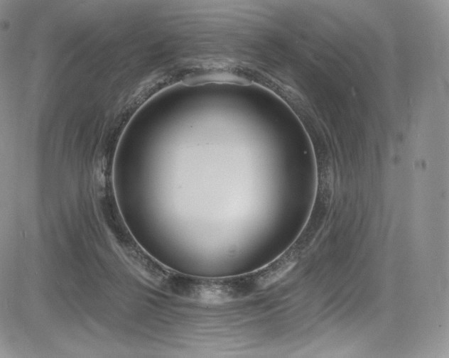 X0000085080264200703051441