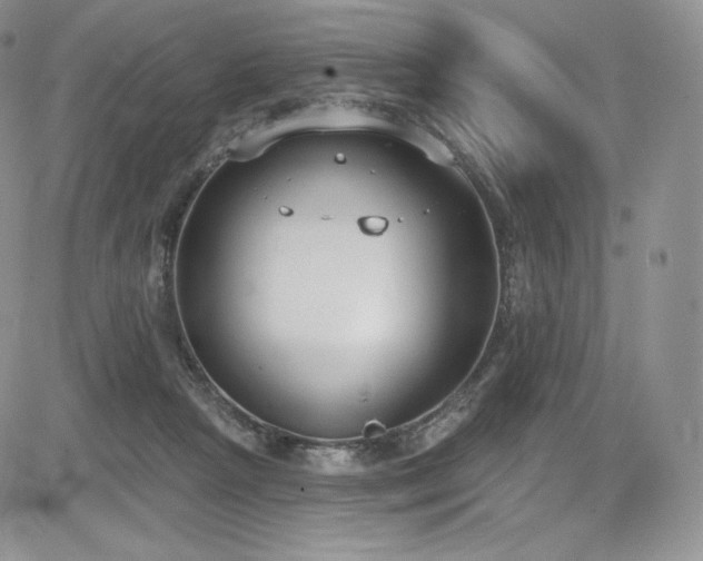 X0000085080265200703051441