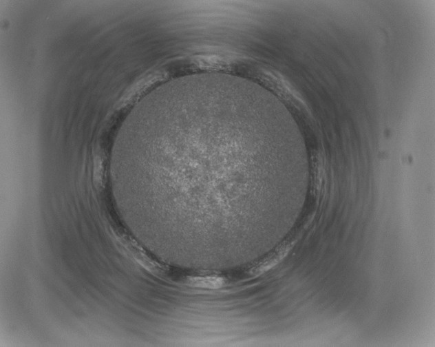 X0000085080266200703051441