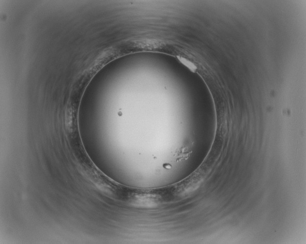 X0000085080268200703051441