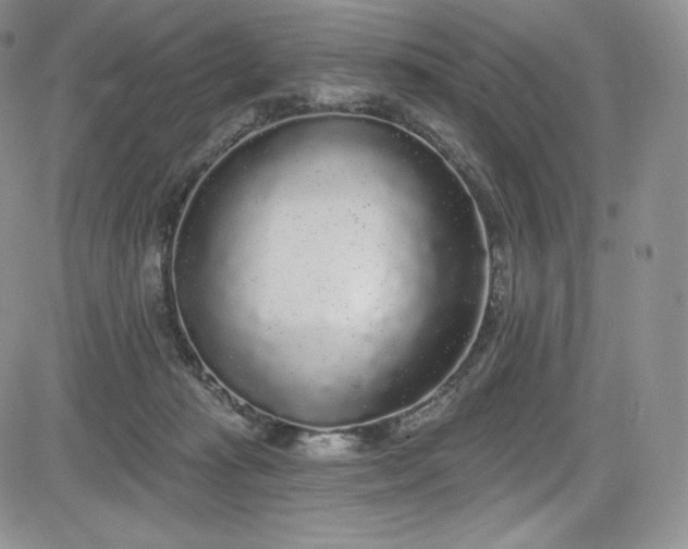 X0000085080269200703051441