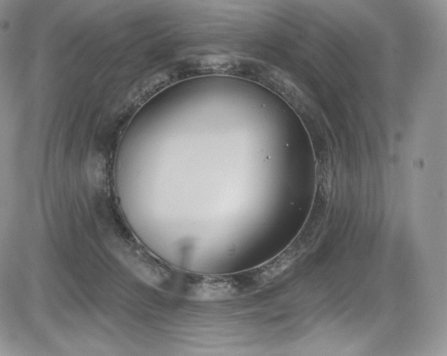 X0000085080270200703051441