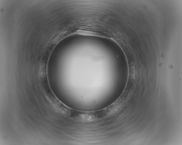 X0000085080272200703051441