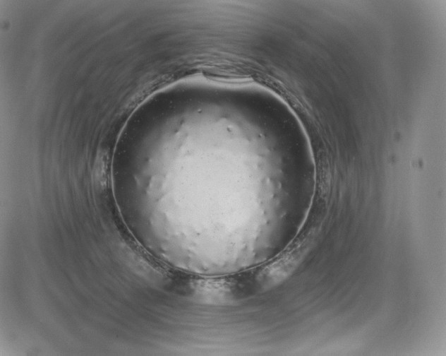 X0000085080273200703051441