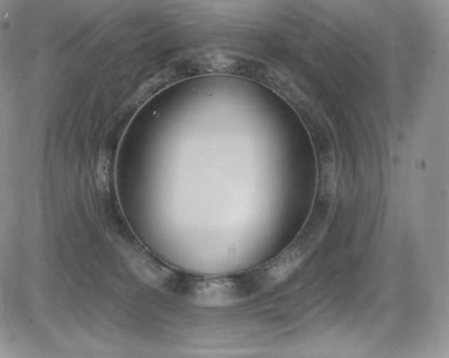 X0000085080274200703051441