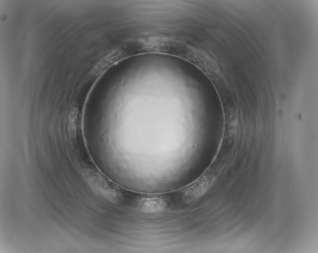 X0000085080275200703051441