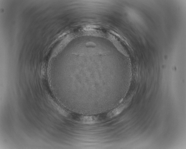 X0000085080277200703051441