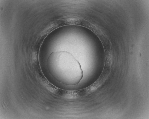 X0000085080278200703051441